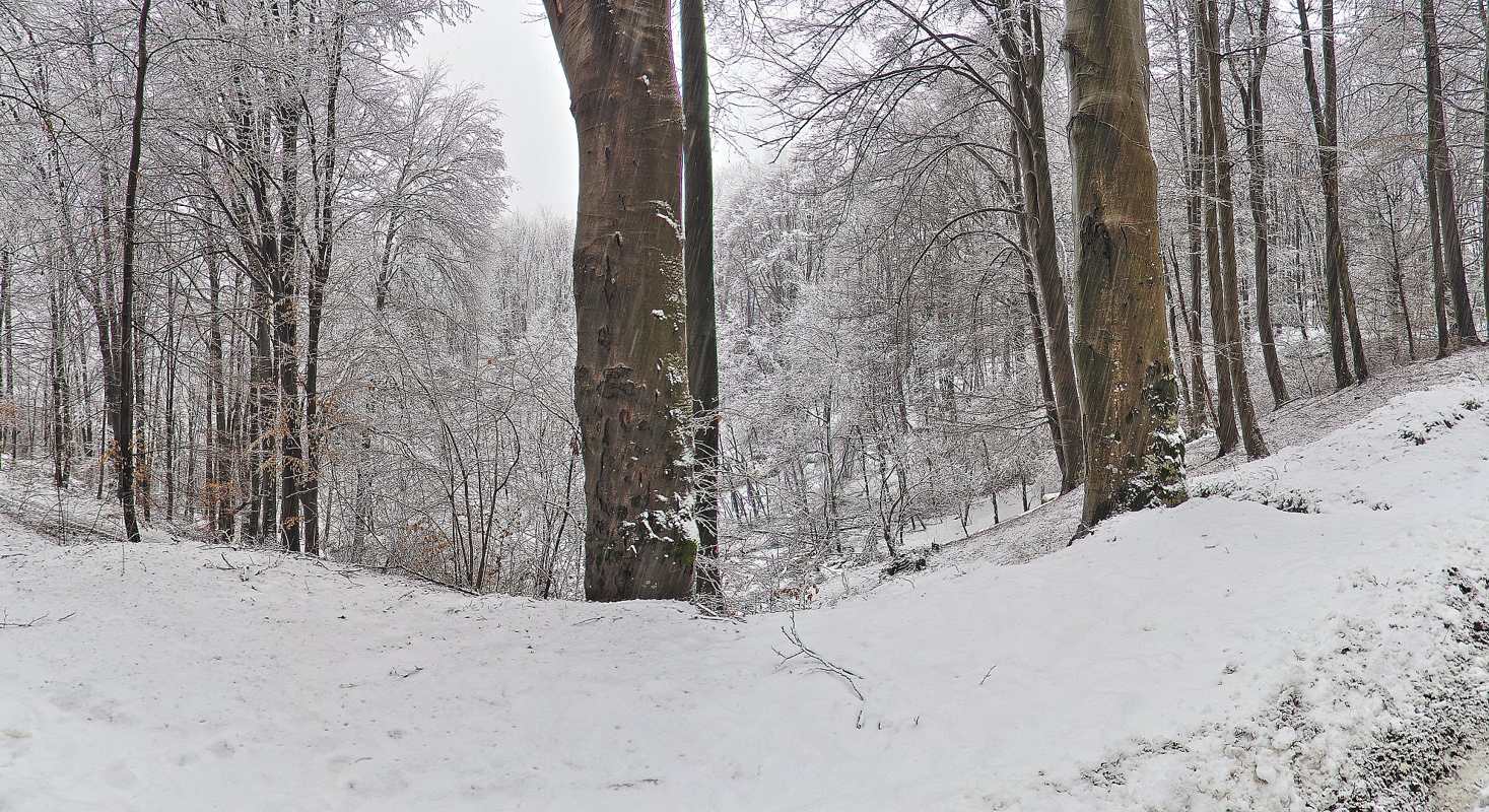 Nevicata in Valsesia